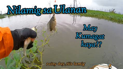 MAY KUMAGAT SA ILOG .
